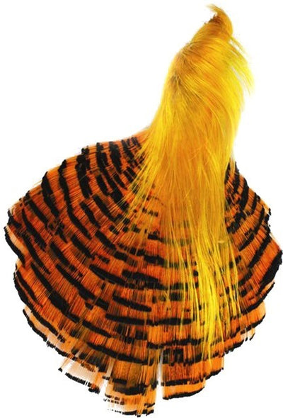 Cabeza y cresta de Faisán Dorado #1