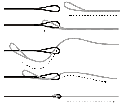 5 Lazadas de alta visibilidad