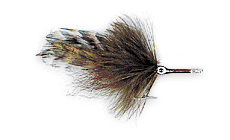 Tarpon M12
