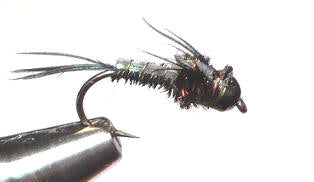 Ninfa N126