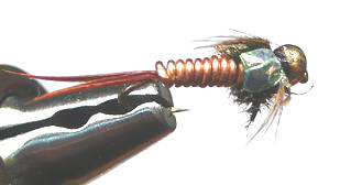 Ninfa N127
