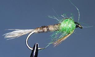Ninfa N73