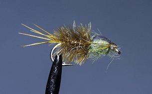 Ninfa N75