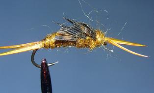 Golden Stonefly N8