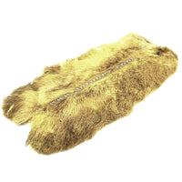 Pata de Liebre Artica PLA