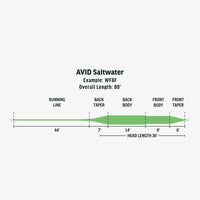 RIO Avid Saltwater