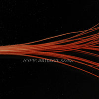 Quills de Pluma en bolsa