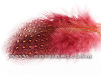 Gallina Guinea