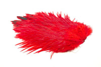 Saddle 4 B's Rooster