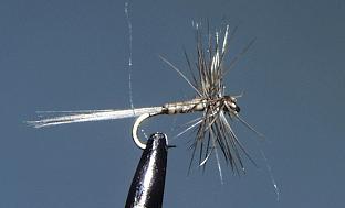 Mosca Seca S106