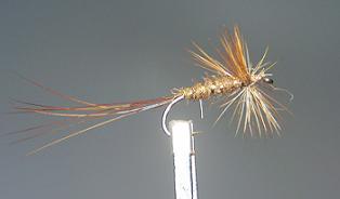 Mosca Seca S12