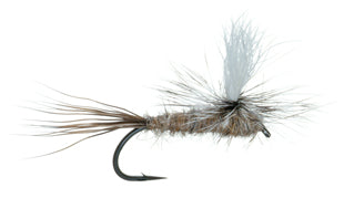 Oreja Liebre Parachute S126