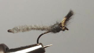 ComparaDun Gris S140