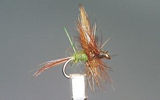 Mosca Seca S17