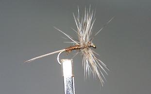 Mosca Seca S45
