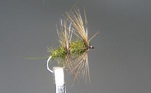 Mosca Seca S48