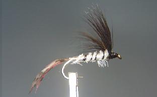 Spent Mayfly S5