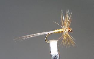 Mosca Seca S55