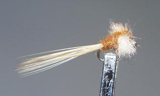 Mosca Seca S60