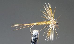 Mosca Seca S70
