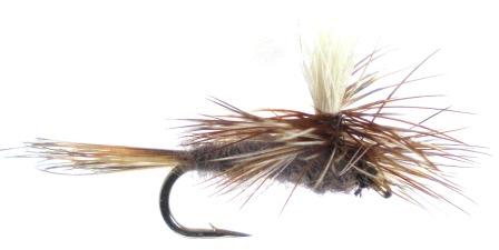 Adams Parachute S74