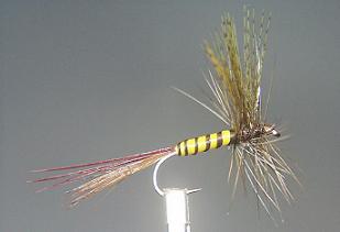 Mosca de Mayo S8