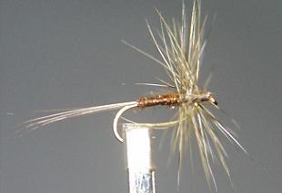 Mosca Seca S94