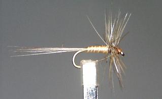 Mosca Seca Ignita S95