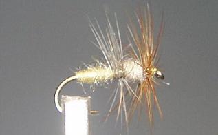 Mosca Seca S96