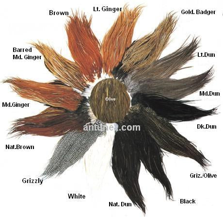 Saddles Whiting Bronce