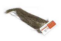 Saddles Whiting ProGrade
