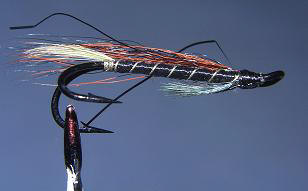 SW Salmon SL7