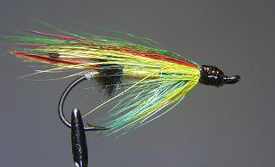 Salmon SL9
