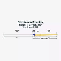 Linea RIO Skagit Trout Spey IT