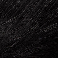 Cola de Ardilla