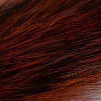 Cola de Ardilla