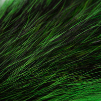 Cola de Ardilla