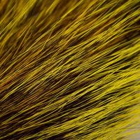 Cola de Ardilla