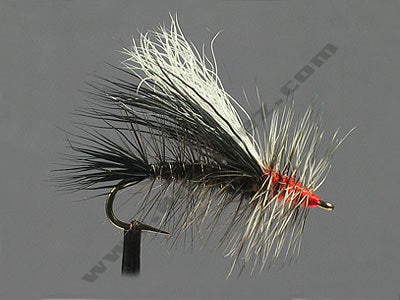 Stimulator Negro PE8