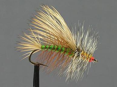 Stimulator Oliva PE7