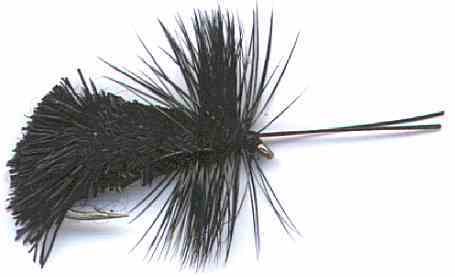 Tricóptero Goddard Negro