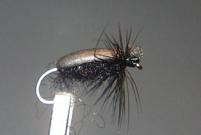 Escarabajo TE25