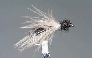 Hormiga TE31