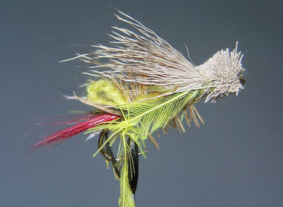 Special Hopper TE4