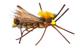 Saltamontes tricolor Amarillo TE57