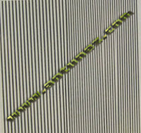 Quill Sintético