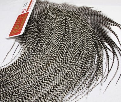 Saddles Whiting ProGrade