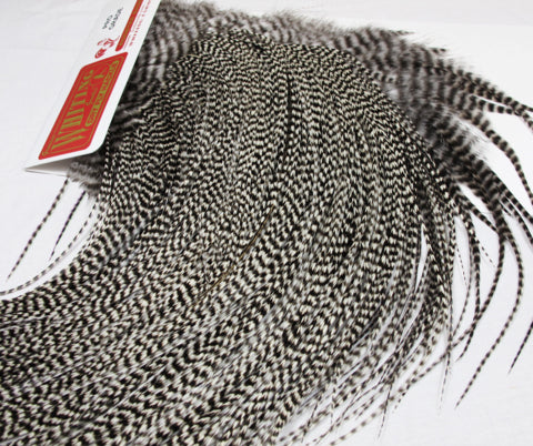 Saddles Whiting ProGrade