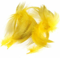 Flancos de Pato Mallard