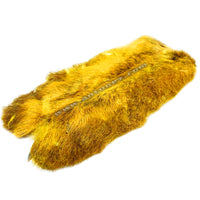 Pata de Liebre Artica PLA